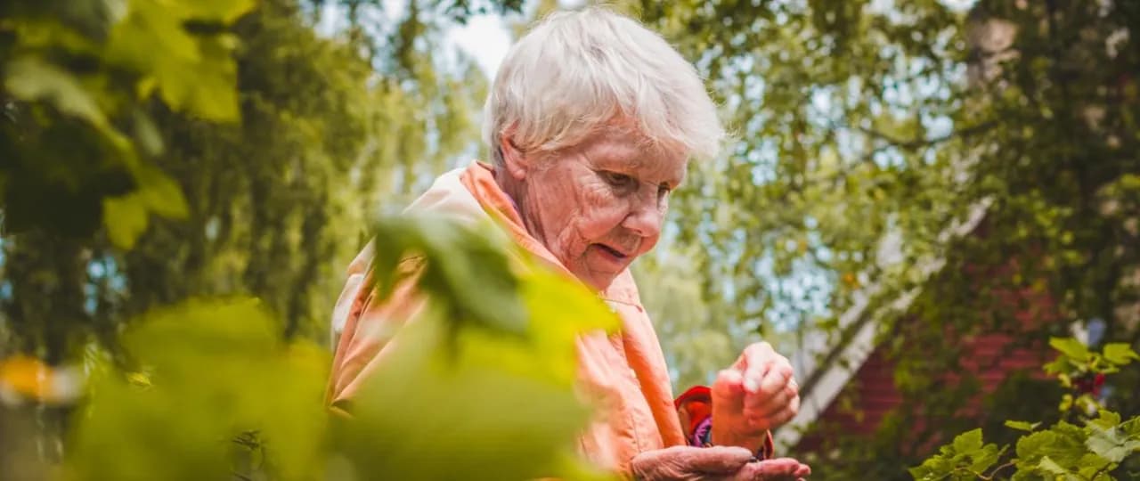 ZUS czy są poprawki emerytur rocznik 1953 i jak wpłyną na Twoje świadczenia