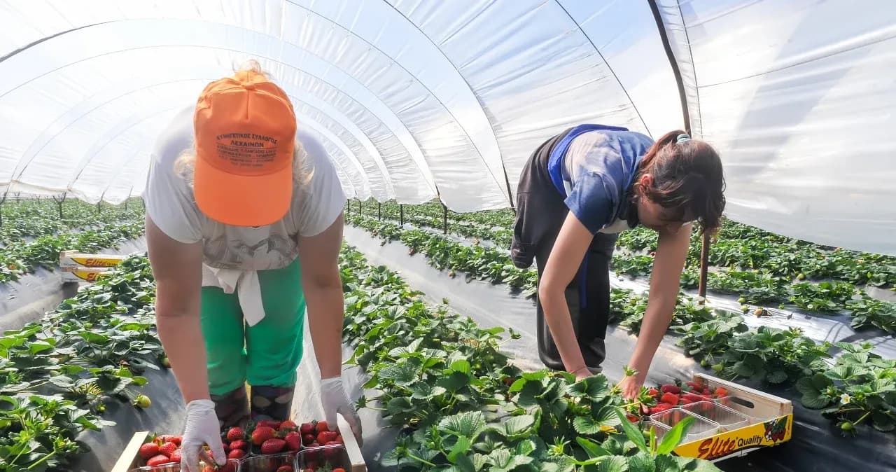 Czy praca sezonowa liczy się do emerytury? Sprawdź, co musisz wiedzieć
